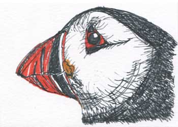 "Max Puffin, Esq." by Jacki Martindale, Sun Prairie WI - Markers & Ink